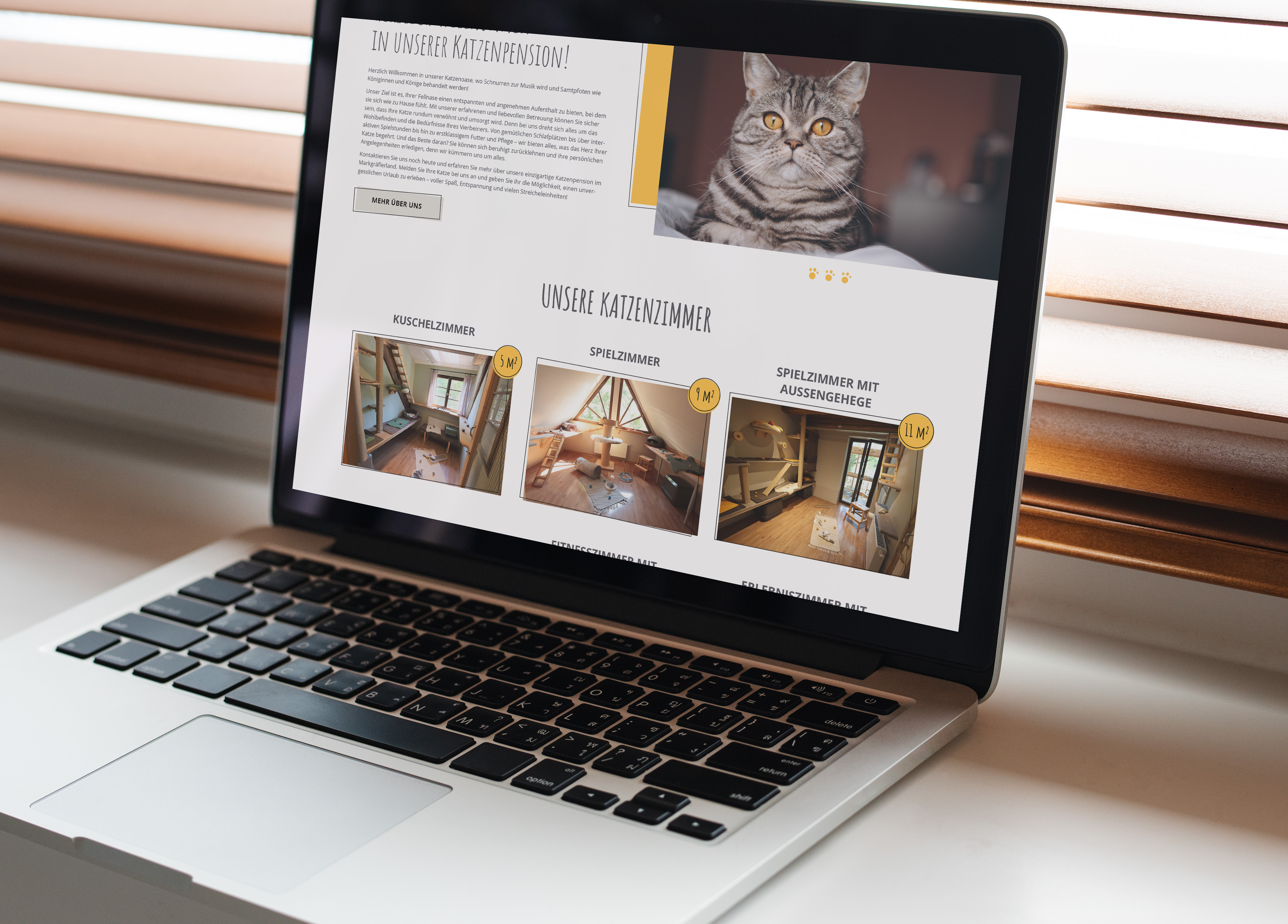 Neue Katzenpension Federer Webseite ist jetzt live!