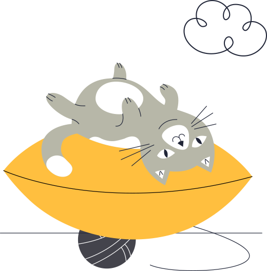 contact_cat