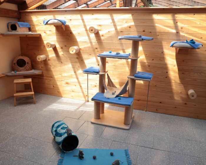 Erlebniszimmer 3