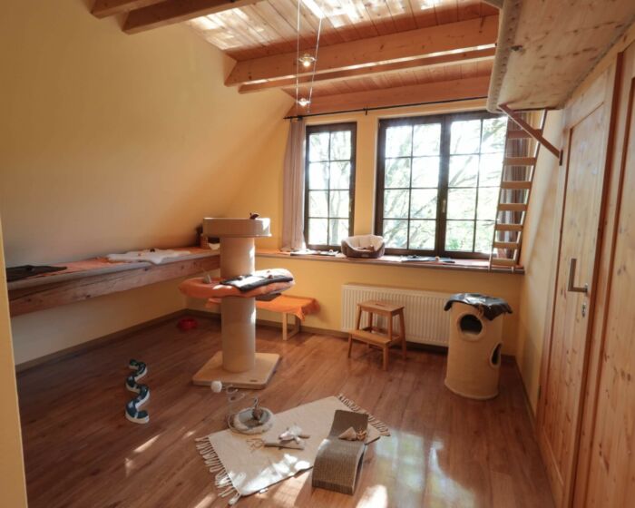 Fitnesszimmer 1
