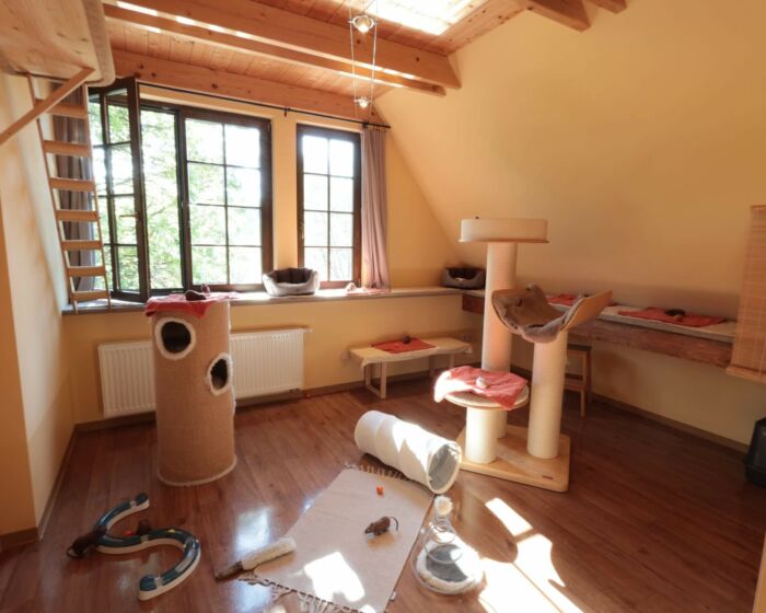 Fitnesszimmer 3