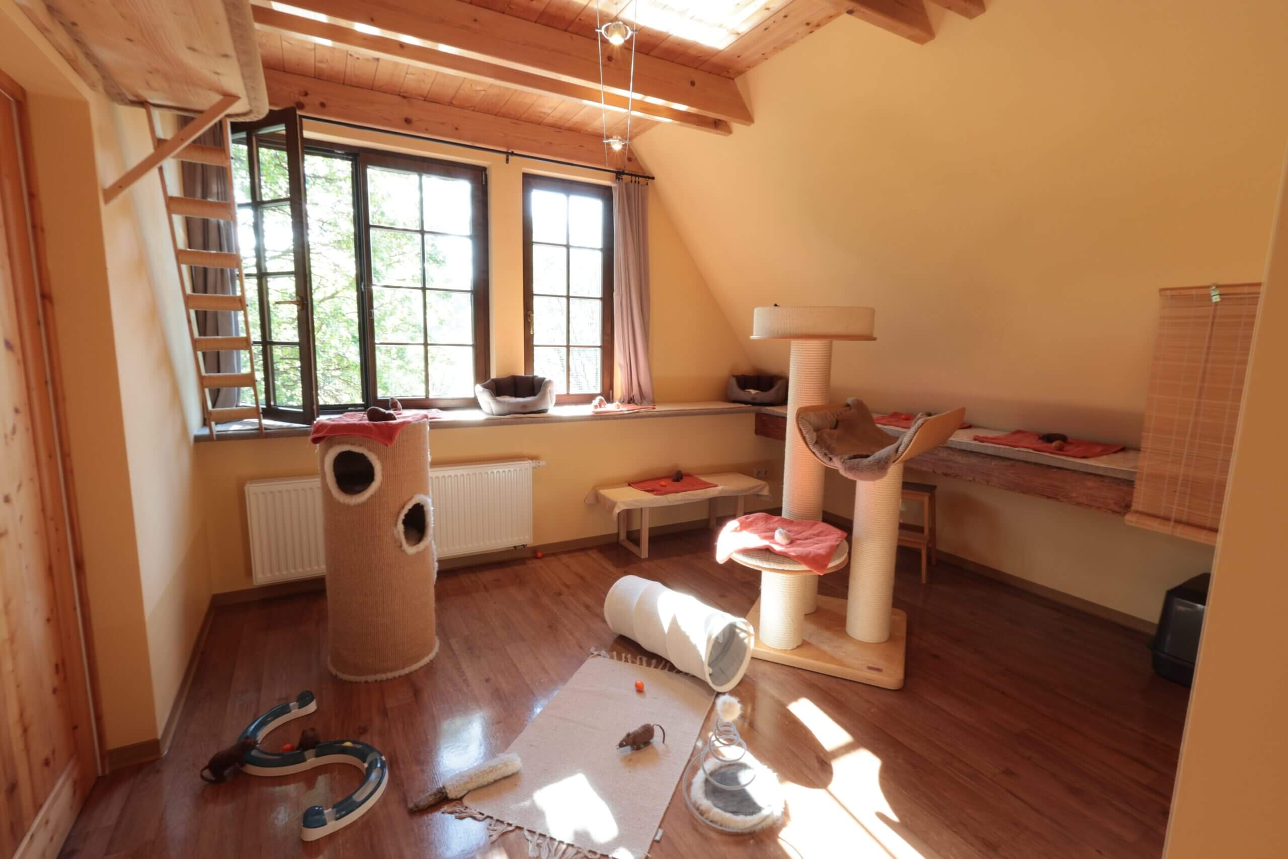 Fitnesszimmer