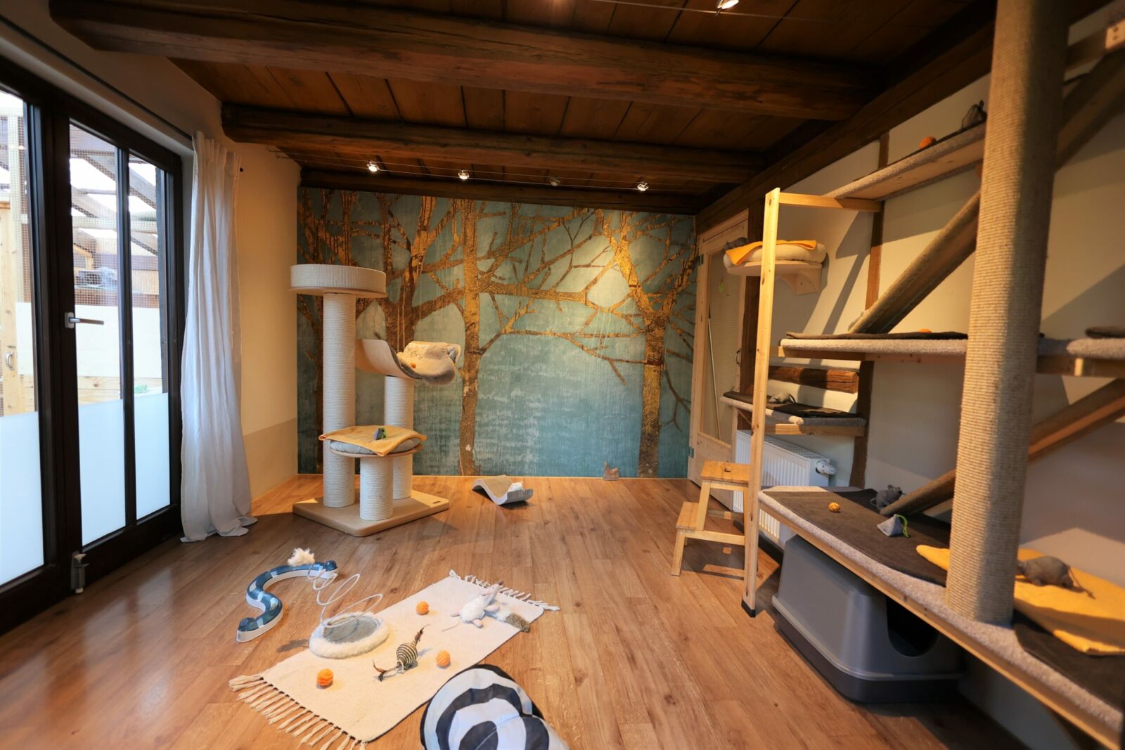 Fitnesszimmer mit Außengehege