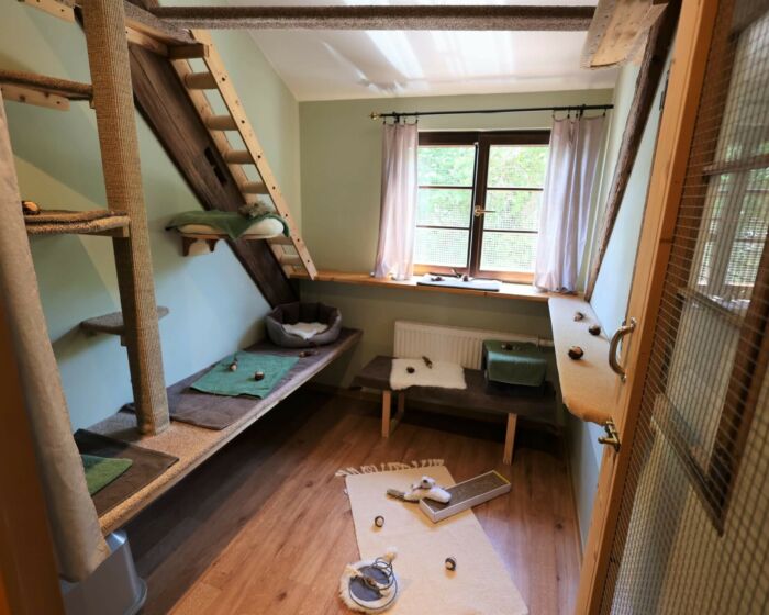 Kuschelzimmer 1