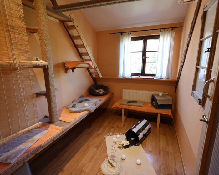 Kuschelzimmer 2