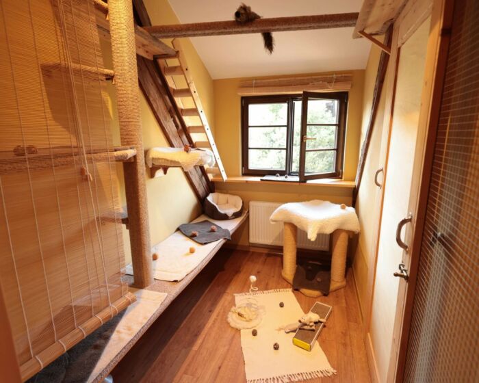 Kuschelzimmer 5