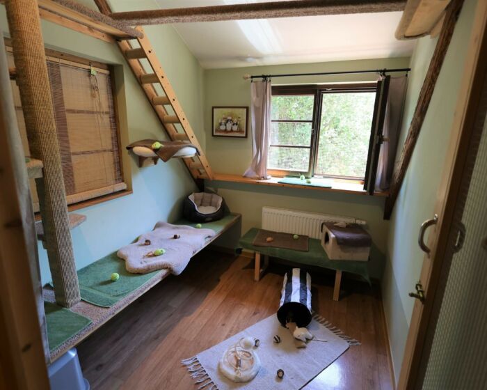 Kuschelzimmer 6