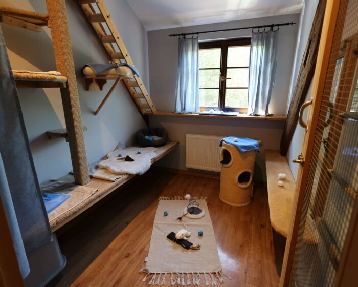 Kuschelzimmer 7