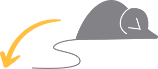 maus