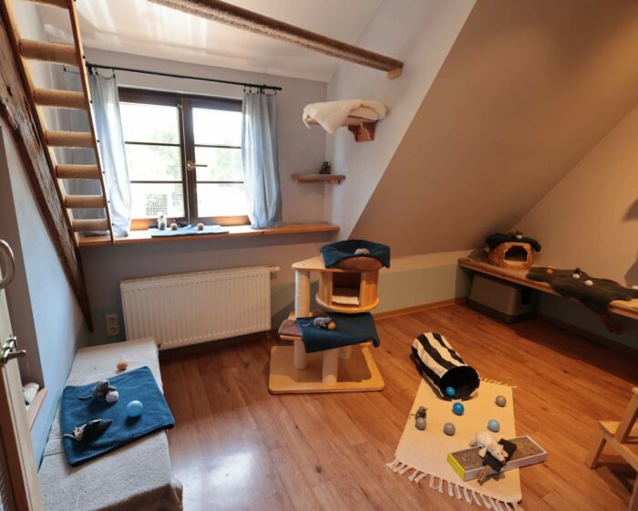 Spielzimmer 4