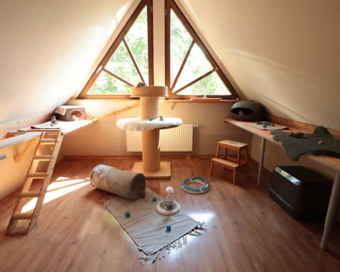 Spielzimmer 5
